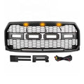 2015 - 2017  Ford F-150 Grille w/ LED image 0